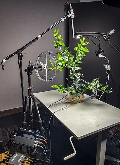 Dispositif complet de captation audio d'insectes — micro parabolique, terrarium et monitoring Sennheiser